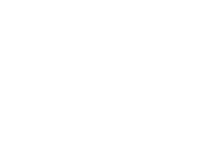 Q&A